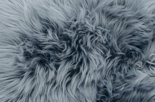 Grey fur sale