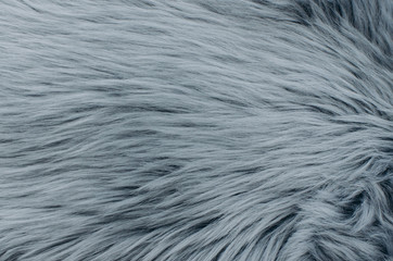 Long and thick gray fur. Grey artificial fur texture