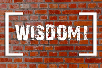 Handwriting text Wisdom. Conceptual photo quality having experience knowledge and good judgement something Brick Wall art like Graffiti motivational call written on the wall