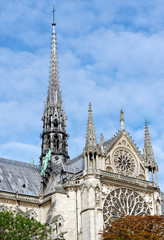 Fototapeta na wymiar Notre dame cathedral arrow in Paris city