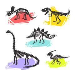  dinosaur skeleton set diplodocus, triceratops, t-rex, stegosaurus, parasaurolophus. Color crystal illustration. For  logo, card, T-shirts, textiles, web. Isolated on white background.
