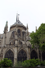 Fototapeta na wymiar cathedral of notre dame in paris