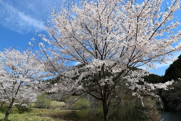榛原ふれあい広場