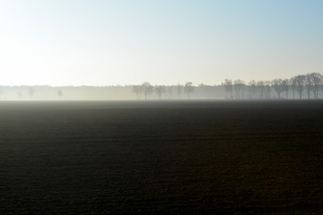 Morning spring landscape with newly plowed field, farmland in  Netherlands, Europe