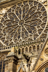 Fototapeta premium notre dame paris