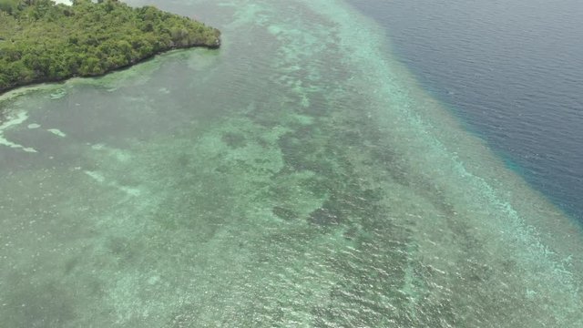 Aerial: Flying over tropical beach turquoise water coral reef , Tomia island Wakatobi National Park Indonesia Maldives Polynesia white sand beach. Native cinelike D-log color profile