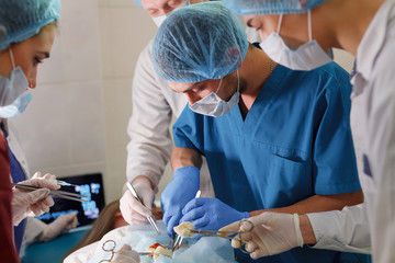 a group of surgeons doing operations in a hospital.