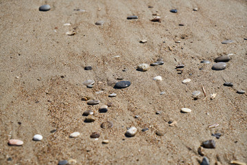 Beach sands background