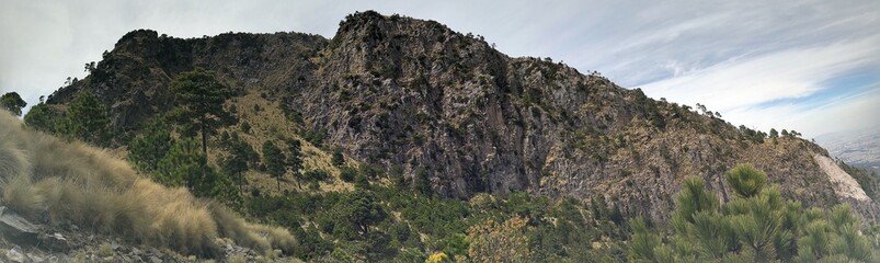 Pico del águila