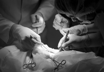 a group of surgeons doing operations in a hospital.