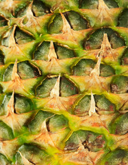 Close up texture of fresh ripe pineapple