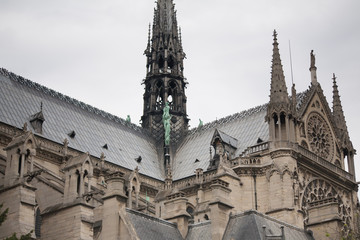 Fototapeta na wymiar Roof of Cathedral Notre Dame, Paris