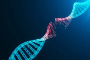 Fotobehang 3D illustration Virus DNA molecule, structure. Concept destroyed code human genome. Damage DNA molecule. Helix consisting particle, dots. DNA destruction due to gene mutation or experiment. © rost9