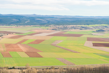 Fototapeta na wymiar beautiful field landscape at Spain