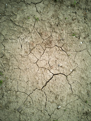 Dried soil texture