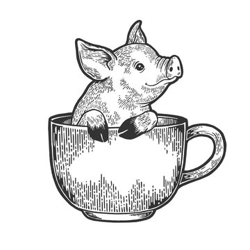 Little pig animal in coffee cup sketch engraving vector illustration. Scratch board style imitation. Black and white hand drawn image.