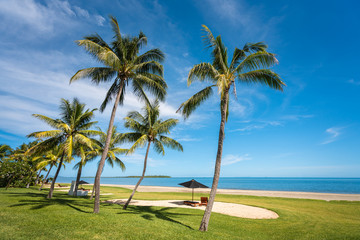 Palm trees along the Fijian coastline