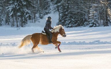 Woman horseback riding