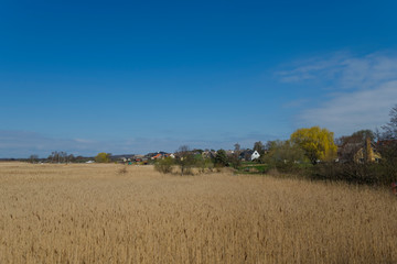 Obraz premium Sunny day baltic sea outdoor no people