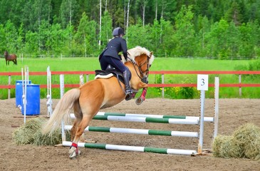 Woman showjumping with horse