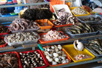 Various seafood displayed in colourful trays on a local sea market.
