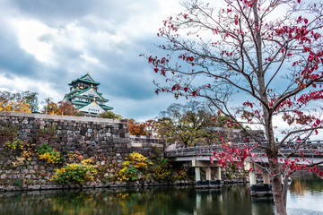 Obraz premium Castello di Osaka