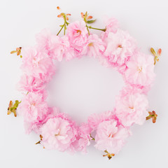 Pink floral composition. Round frame wreath pattern made of pink cherry blossoms, white background