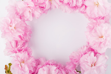 Cherry blossoms frame. Decoration, natural.