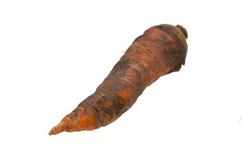 carrot isolated on white background
