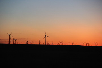 wind turbines at sunset