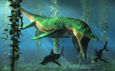 Liopleurodon was a pliosaur and apex predator of the Jurassic seas. Here, the green sea monster hunts sharks in shallow waters in a kelp forest.