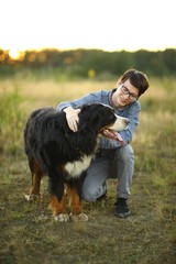 young man walking with Bernese Mountain Dog on the summer field