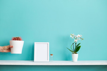 Modern room decoration with Picture frame mockup. White shelf against pastel turquoise wall with potted orchid and hand putting down cactus plant.