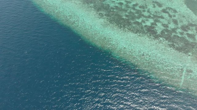 Aerial: Flying over tropical beach turquoise water coral reef , Tomia island Wakatobi National Park Indonesia Maldives Polynesia white sand beach. Native cinelike D-log color profile