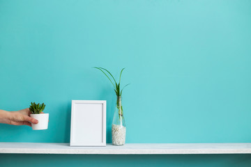 Modern room decoration with Picture frame mockup. White shelf against pastel turquoise wall with spider plant cuttings in water and hand putting down succulent.
