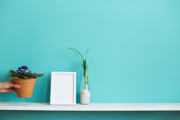 Modern room decoration with Picture frame mockup. White shelf against pastel turquoise wall with spider plant cuttings in water and hand putting down violet.