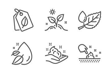 Water drop, Skin care and Grow plant icons simple set. Leaf dew, Bio tags and Skin moisture signs. Serum oil, Hand cream. Healthcare set. Line water drop icon. Editable stroke. Vector