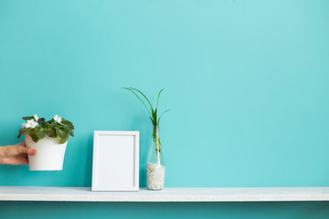 Modern room decoration with Picture frame mockup. White shelf against pastel turquoise wall with spider plant cuttings in water and hand putting down violet.