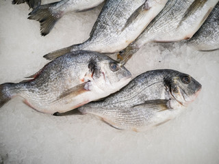 Fototapeta premium Healthy and delicious fishes