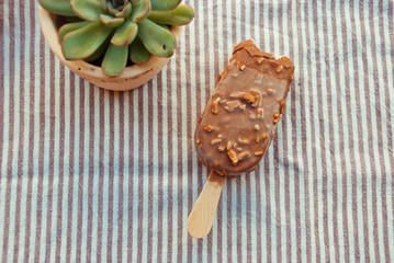 Food flat lay milk chocolate ice cream with stick and succulent.