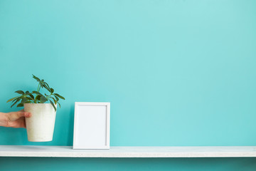 Modern room decoration with Picture frame mockup. White shelf against pastel turquoise wall and hand putting down potted schefflera plant.