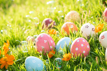 Happy easter!  Closeup Colorful Easter eggs in nest on green grass field during sunset background.