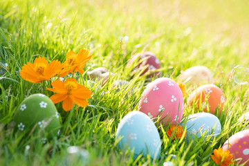 Fototapeta na wymiar Happy easter! Closeup Colorful Easter eggs in nest on green grass field during sunset background.