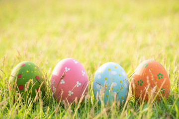 Happy easter!  Closeup Colorful Easter eggs in nest on green grass field during sunset background.