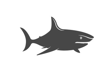 Illustration of a Shark.