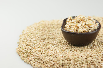 Sprouts of green buckwheat in a bowl. Macro shot. Raw buckwheat. Useful food from buckwheat sprouts for vegetarian food.