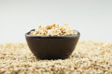 Sprouts of green buckwheat in a bowl. Macro shot. Raw buckwheat. Useful food from buckwheat sprouts for vegetarian food.