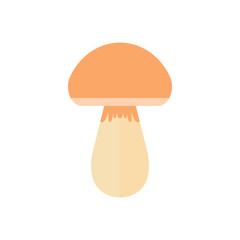 Flat Illustration of Boletus