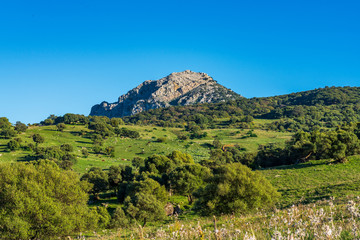 Landscape near Ubrique, Cadiz. Spain, Andalusia in the park of Alcornocales