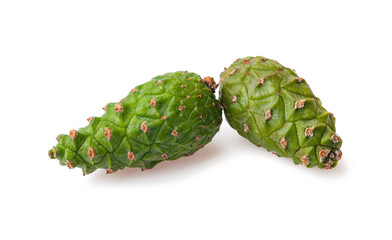 green pine cones isolated on white background